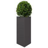 ZNTS Garden Planters 2 pcs Black Triangular 40x34.5x70 cm Steel 851158