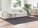 Area Rugs Square SIROLO Anthracite 120 x 120 cm Polyester 42022785