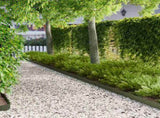 Lawn Edging 30 pcs 100 x 12 cm Steel Olive Green 8008532