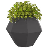 Planter 2 pcs Black 75 x 75 x 60 cm Steel 884039