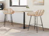 Bar Chair 2 pcs 55 x 52 x 105 cm Rattan and Iron 42011553