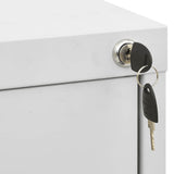 Filing Cabinet Light Grey 46x62x102,5 cm Steel 20123