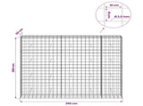 Gabion with 3.5 mm Wire and 10x10 cm Mesh 250x50x200 cm 3463343