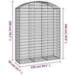 Arched Gabion Basket 150x50x180/200 cm Galvanised Iron 153459