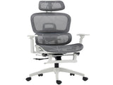 Multi-Adjustable Mesh Office Chair - Grey and White T3398P424985