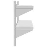 2-Tier Wall Shelf 100x23.5x60 cm Silver Stainless Steel 30311
