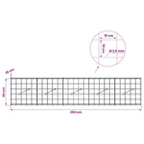 Gabion with 3.5 mm Wire and 10x10 cm Mesh 250x10x50 cm 3462983