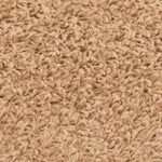 Stair Mats 10 pcs 56x17x3 cm Beige Half Round 149787