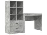 Desk with Drawer with Shelf with Storage 2 pcs Concrete Grey 3337308