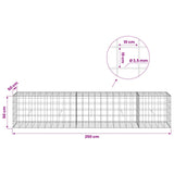 Gabion with 3.5 mm Wire and 10x10 cm Mesh 250x50x50 cm 3463271