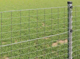 Euro Fence 0.4 x 50 m PVC-coated iron 42004698