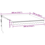 ZNTS Retractable Awning Anthracite and White 3x2.5 m Fabric&Aluminium 3216118