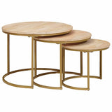 Nesting Coffee Tables 3 pcs Brown Solid Mango Wood and Steel 4104635