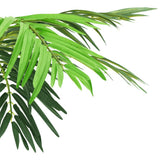 Artificial Phoenix Palm with Pot 190 cm Green 336309