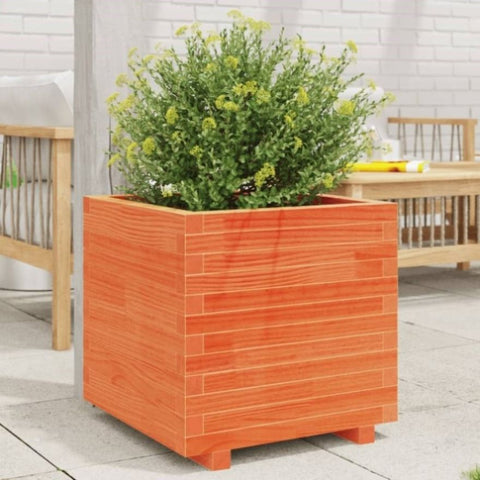 ZNTS Garden Planter Wax Brown 50x50x49.5 cm Solid Wood Pine 847355