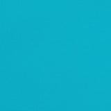 Chair Cushions 2 pcs Turquoise 58 x 77 x 4.5 cm Oxford Fabric 361851