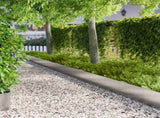 Lawn Edging 10 pcs metal 8008316