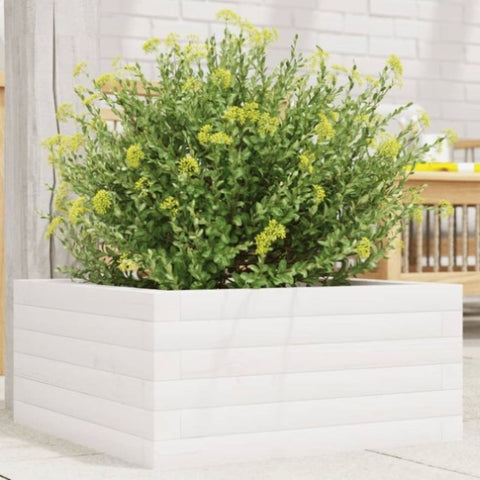 ZNTS Garden Planter White 50x50x23 cm Solid Wood Pine 847184