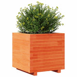 Garden Planter Wax Brown 50x50x49.5 cm Solid Wood Pine 847355
