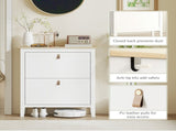 Modern Two-Drawer Shoe Cabinet - White T3398P343096