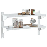 ZNTS 2-Tier Wall Shelf 100x30x60 cm Silver Stainless Steel 30310