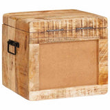 Storage Box with Storage with Door Brown Solid Mango Wood 4104569