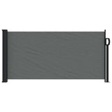 Retractable Side Awning Anthracite 100x300 cm 4004278
