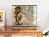 Terrarium with Storage Transparent 30 x 30 x 40 cm Glass 42020388