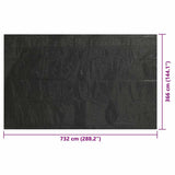 Pool Cover Black 732x366 cm PE 92166