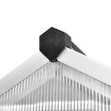 Greenhouse Transparent Aluminium Large UV-resistant materials 43556