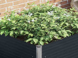 Raised Garden Bed Anthracite 100x100x77 cm Galvanised Steel 45725