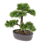 ZNTS Emerald Artificial Cedar Bonsai Green 32 cm 420001 414502