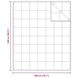 2-in-1 Duvet White 240 x 200 cm Down 42007667
