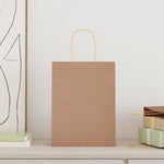 ZNTS Paper Bags 250 pcs with Handles Brown 21x11x28 cm 4101587