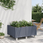 ZNTS Garden Planter with Wheels Grey 100x80x54 cm PP 367977