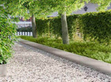 Lawn Edging 20 pcs 103 x 30 cm Steel Silver 8008513