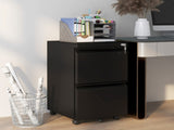 2-Drawer Mobile Filing Cabinet, Steel Lockable File Cabinet for Letter, A4 and Legal Size, T3398P341014