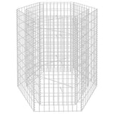 Hexagonal Gabion Raised Bed 100x90x100 cm 142533