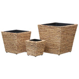 45571 Raised Beds 3 pcs Water Hyacinth