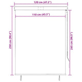 Outdoor Roller Blind 120x250 cm White and Orange 145963