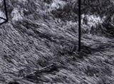 Shaggy Rug High Pile NAVARRA Dark Grey 240x240 cm Polyester 4102888