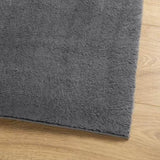 Rug HUARTE Short Pile Soft and Washable Anthracite 120x170 cm 375000