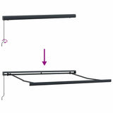 Manual Retractable Awning Brown 300x250 cm 3215723
