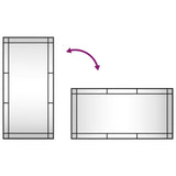 Wall Mirror Black 50x100 cm Rectangle Iron 358630