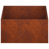 Garden Planter Rusty 60 x 60 x 40 cm Weathering Steel 8005104