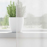 Voile Curtains with Rod Pockets 2 pcs White 4102243