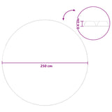 Solar Pool Cover Extra Heavy 250 cm 400 m Round PE Black 42034563
