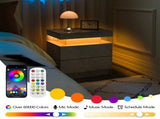Nightstand LED Bedside Table Cabinet Lights Modern End Side with 2 Drawers for Bedroom T3272P287612