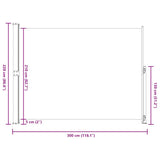 Patio Retractable Side Awning 220x300 cm Grey 313425