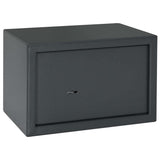 Safe Box with Lock Dark grey 31 x 20 x 20 cm Steel 42011314